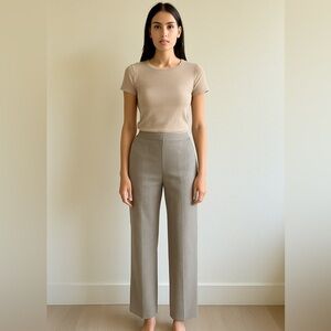 Aritzia Babaton High Rise Straight Pants size Medium